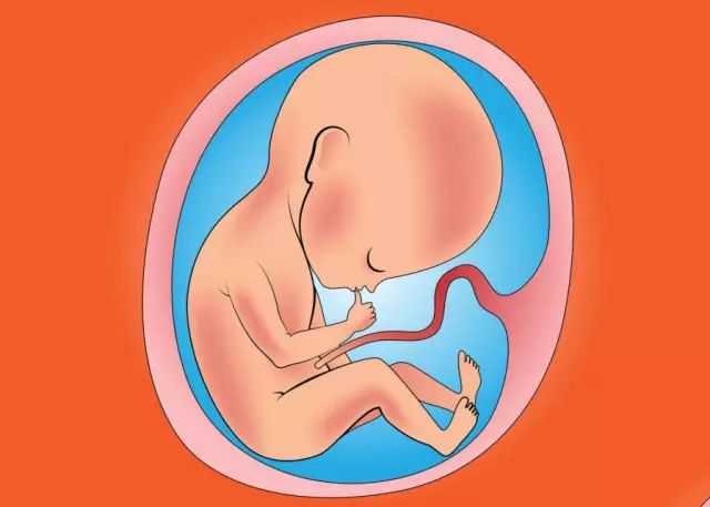 怀孕第一个月吃药对胎儿有影响吗?